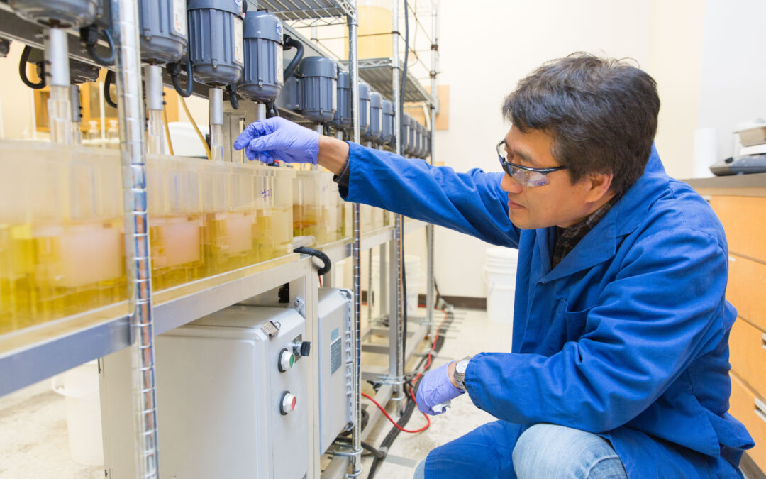 Building the rare earth element supply chain: Challenges and opportunities